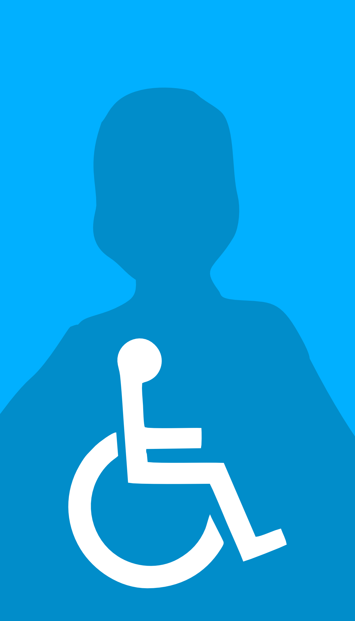 Inclusión y accesibilidad